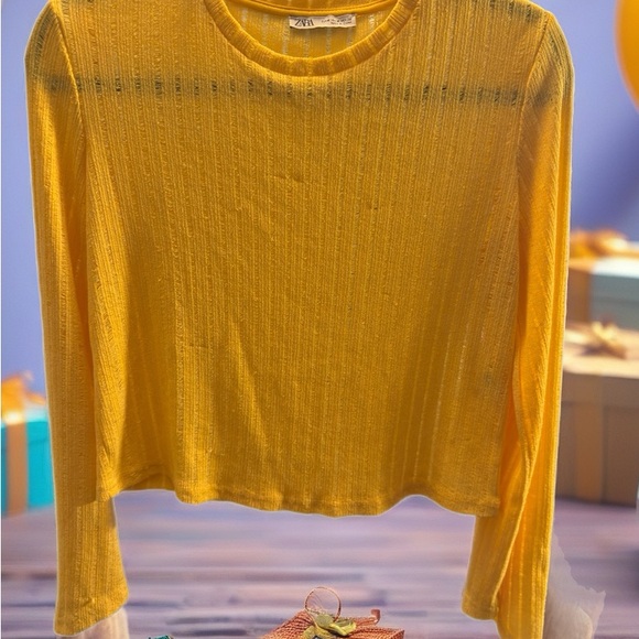 Zara Mustard Ribbed Top - Picture 5 of 5